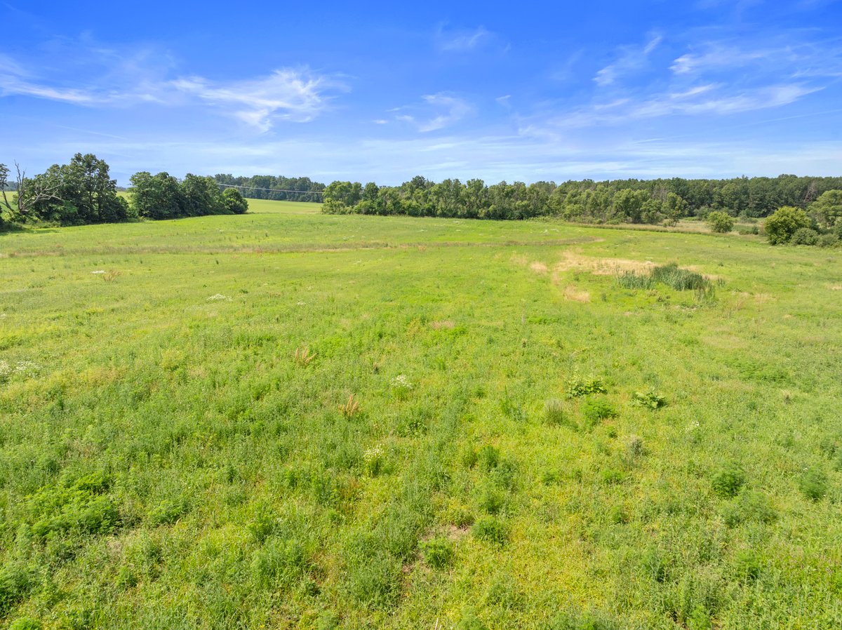 Waldo Land For Sale | 20 Acres Cty Rd N | Pleasant View Realty