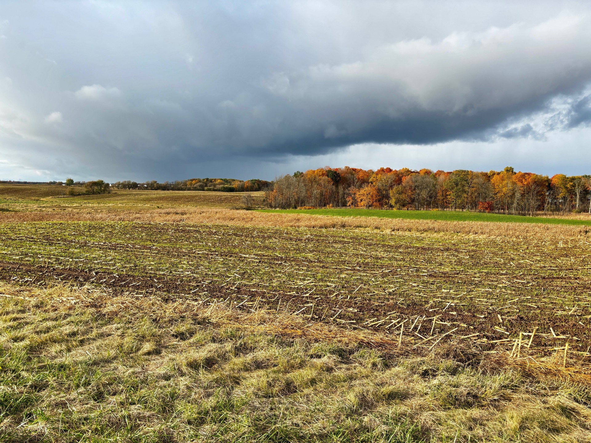 Howards Grove Land For Sale | 10 Acres Garton Road | Pleasant View Realty